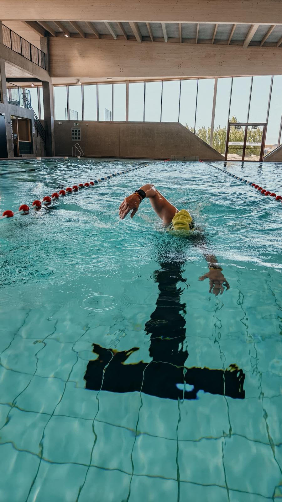 Het olympisch 50m-bad van LAGO Brugge Olympia